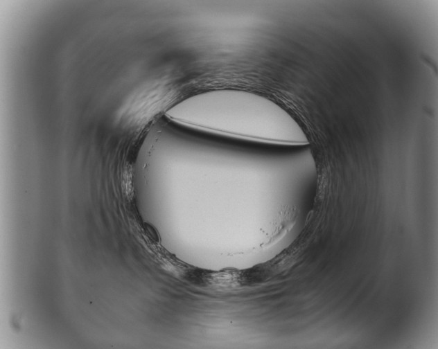 X0000102510335200808081012