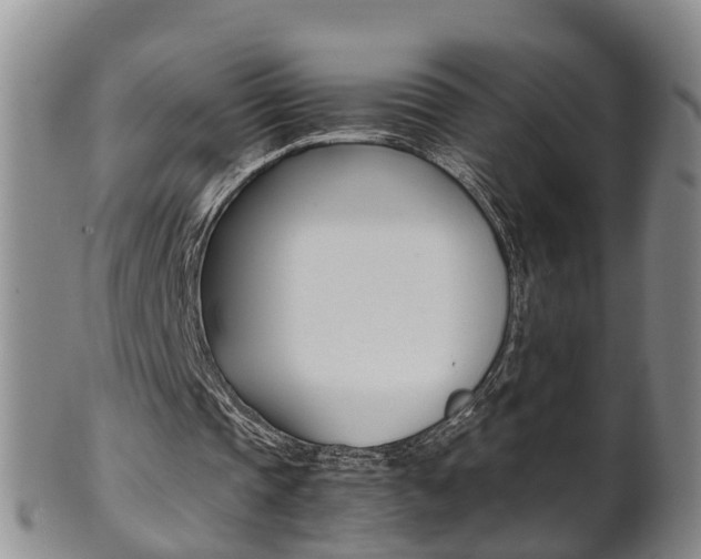 X0000102510337200808081012