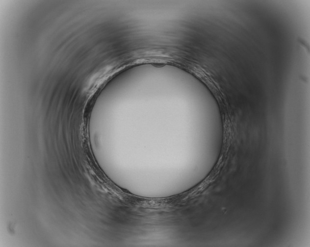 X0000102510338200808081012
