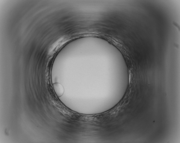 X0000102510339200808081012