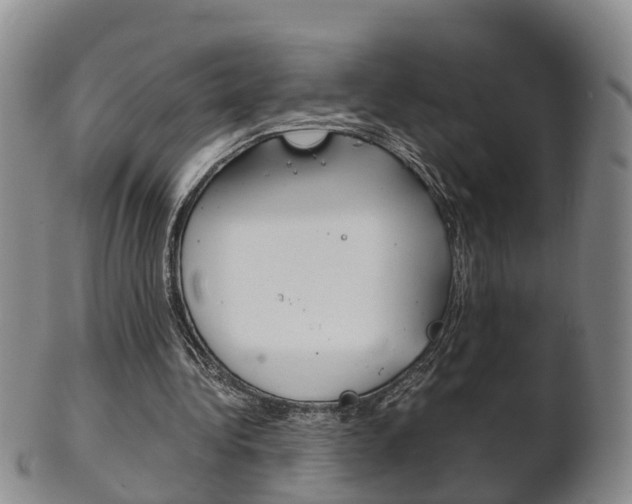 X0000102510340200808081012