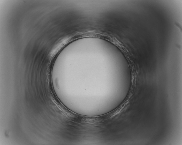 X0000102510341200808081012