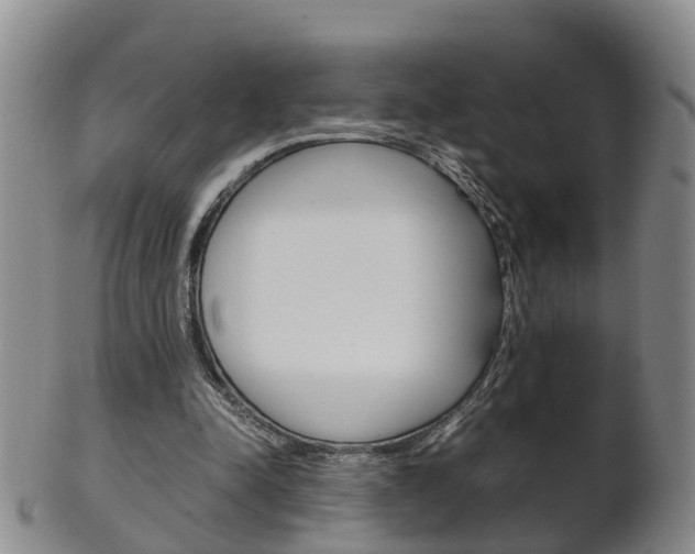 X0000102510342200808081012