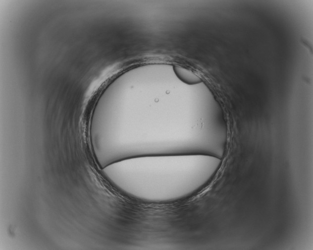 X0000102510343200808081012