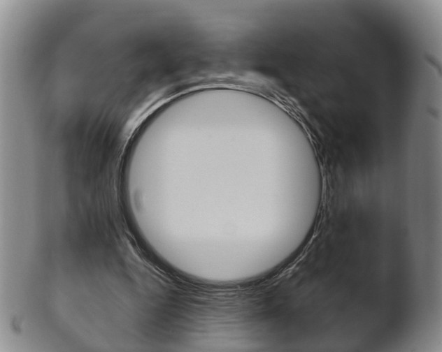 X0000102510344200808081012