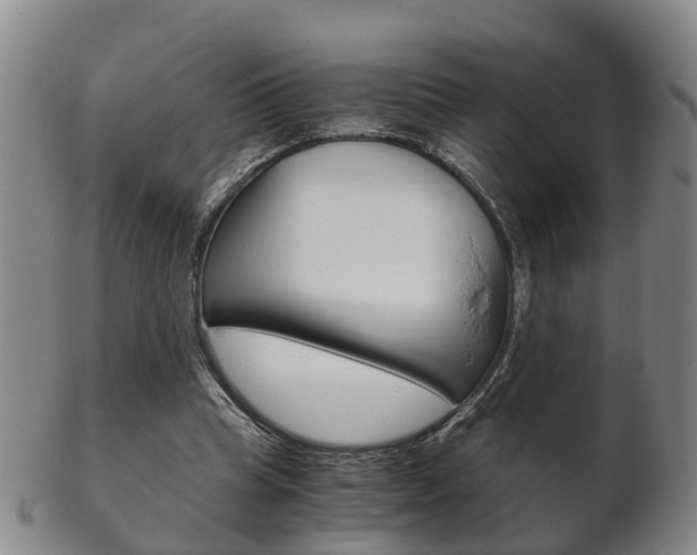 X0000102510345200808081012