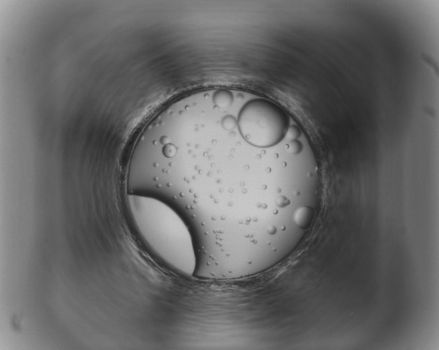 X0000102510346200808081012