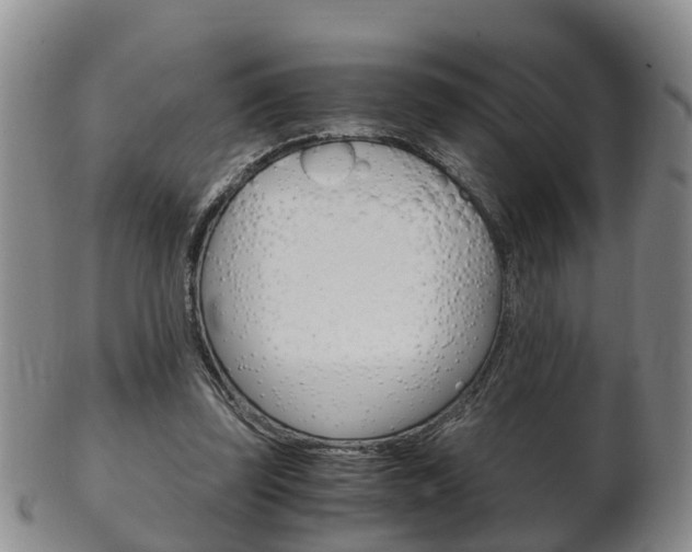 X0000102510347200808081012