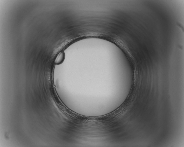 X0000102510348200808081012