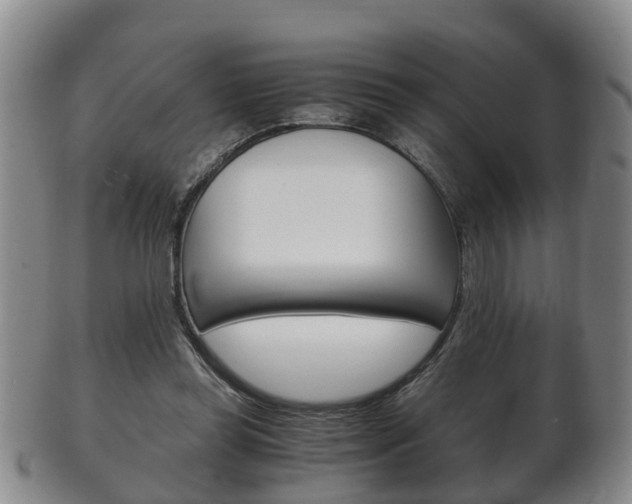 X0000102510349200808081012