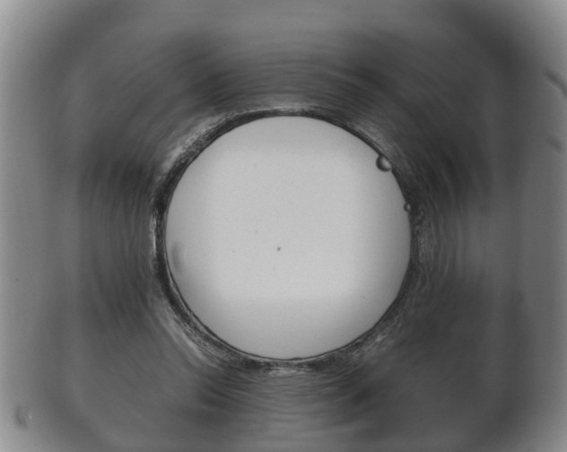 X0000102510350200808081012