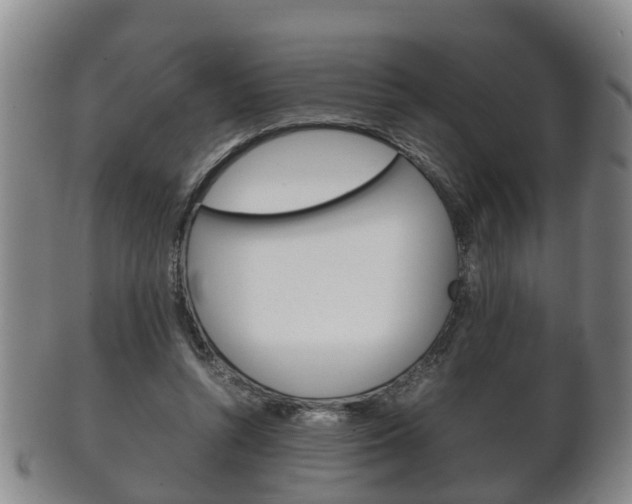X0000102510352200808081012