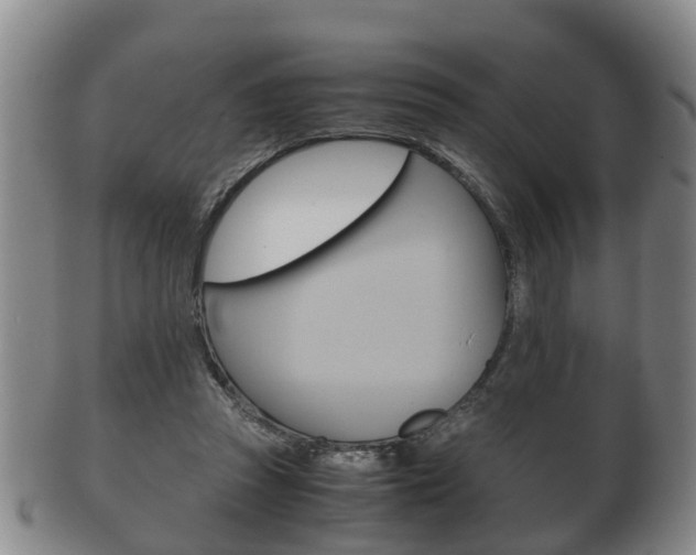 X0000102510353200808081012