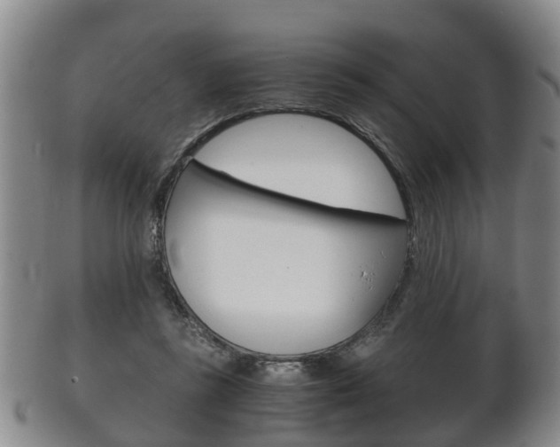 X0000102510355200808081012