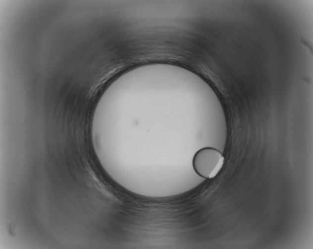 X0000102510356200808081012