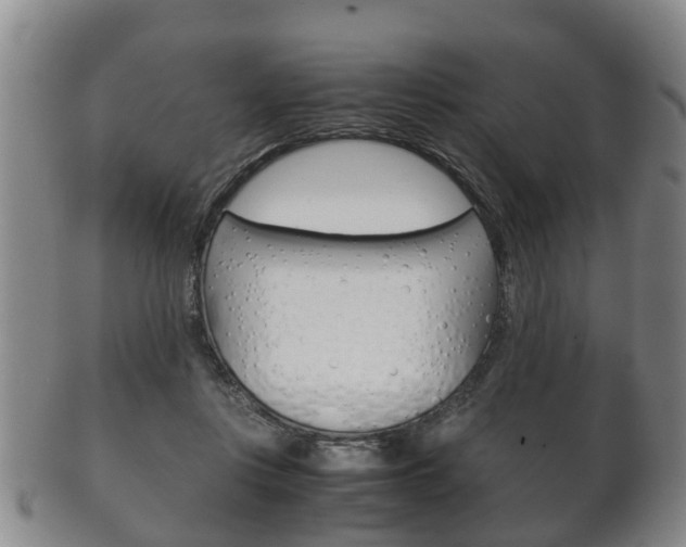 X0000102510359200808081012