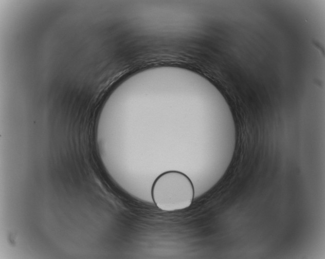 X0000102510360200808081012