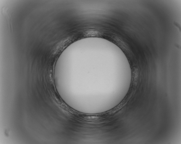 X0000102510361200808081012