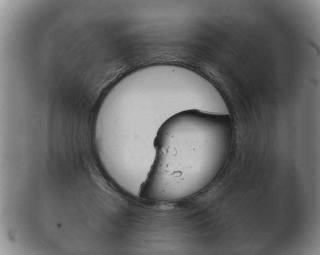 X0000102510362200808081012