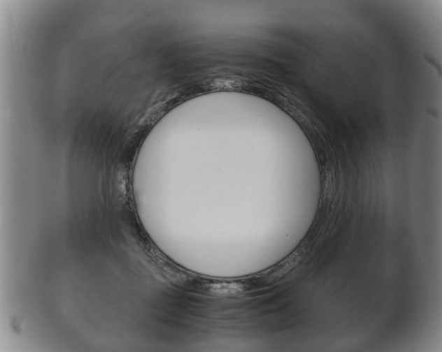 X0000102510363200808081012