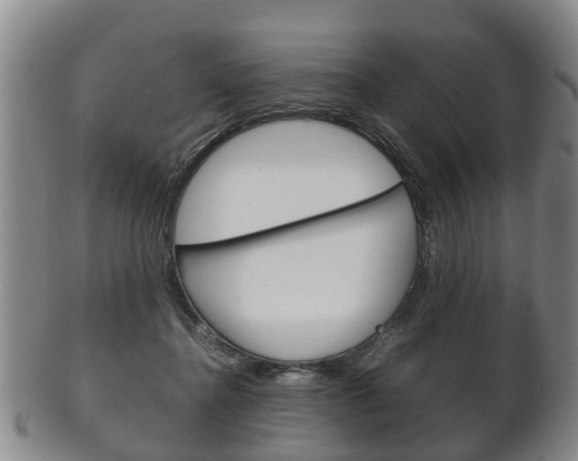 X0000102510364200808081012