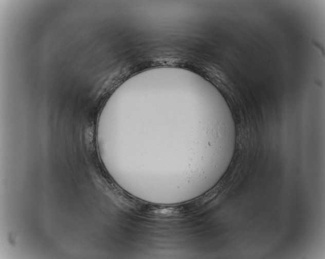 X0000102510365200808081012
