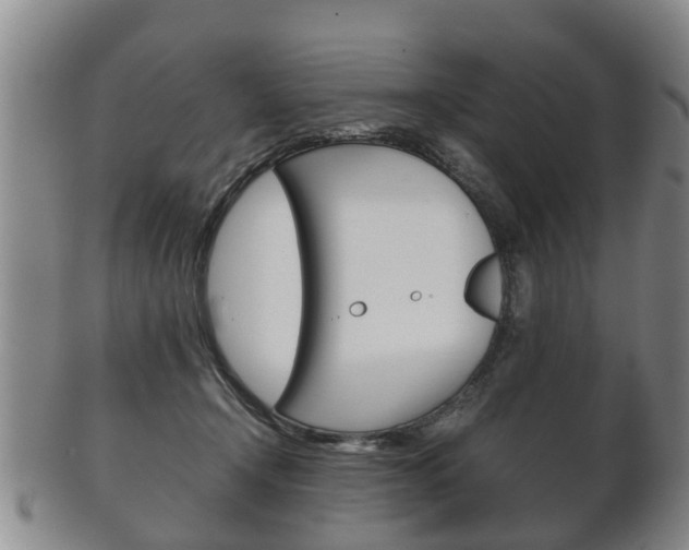 X0000102510366200808081012