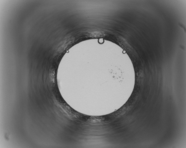 X0000102510368200808081012