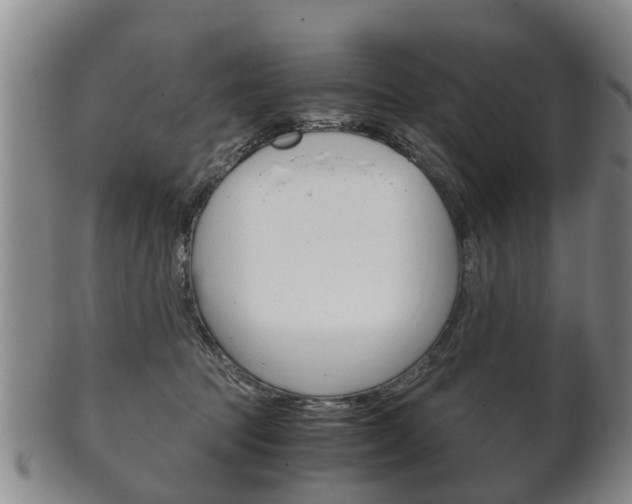X0000102510369200808081012