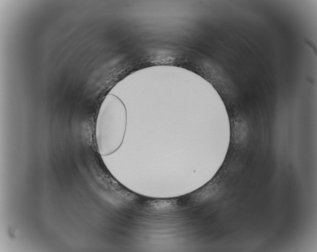 X0000102510370200808081012