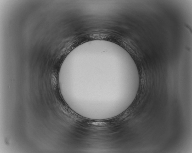 X0000102510371200808081012