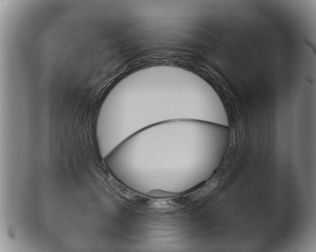 X0000102510372200808081012