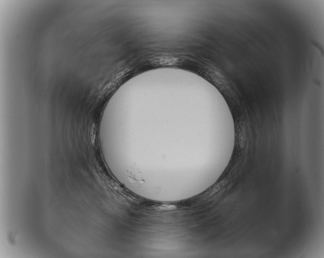 X0000102510374200808081012