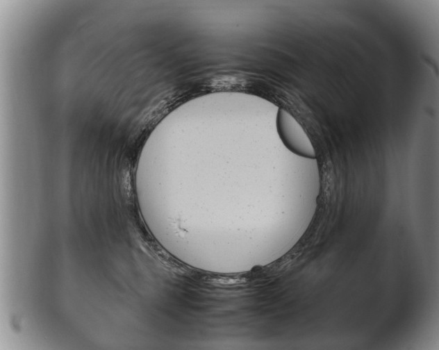 X0000102510375200808081012