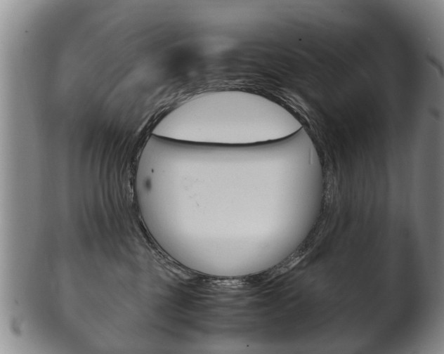 X0000102510377200808081012