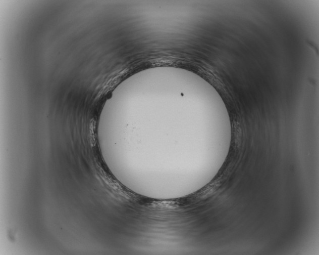 X0000102510378200808081012