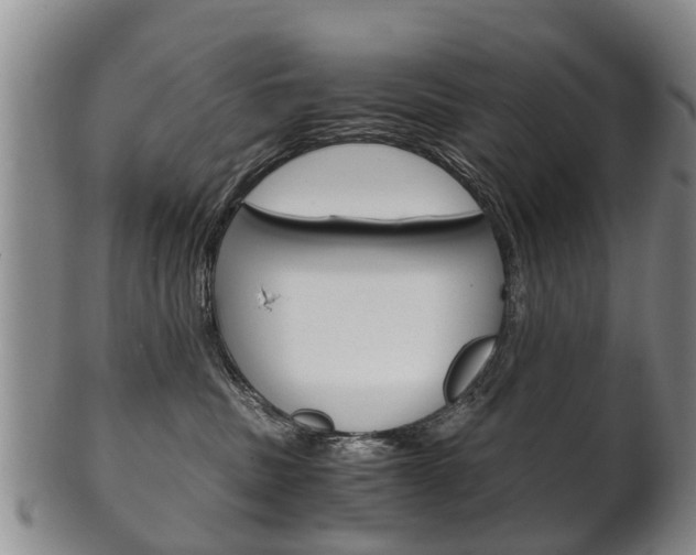 X0000102510379200808081012