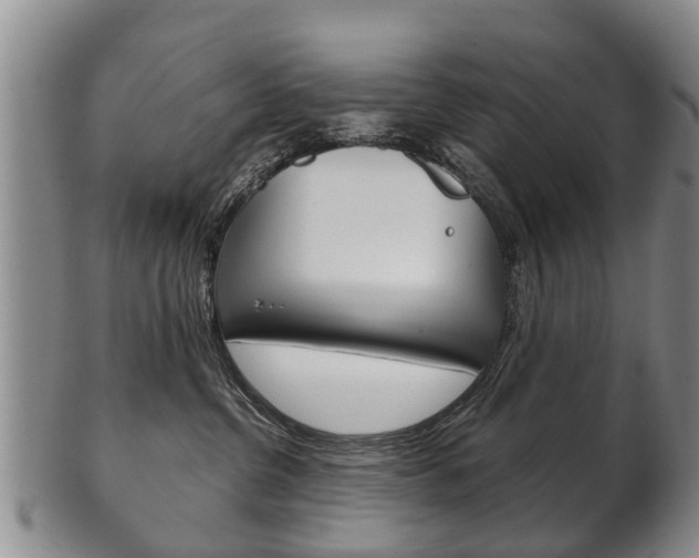 X0000102510380200808081012