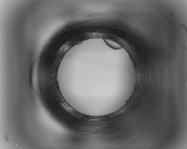 X0000102510381200808081012