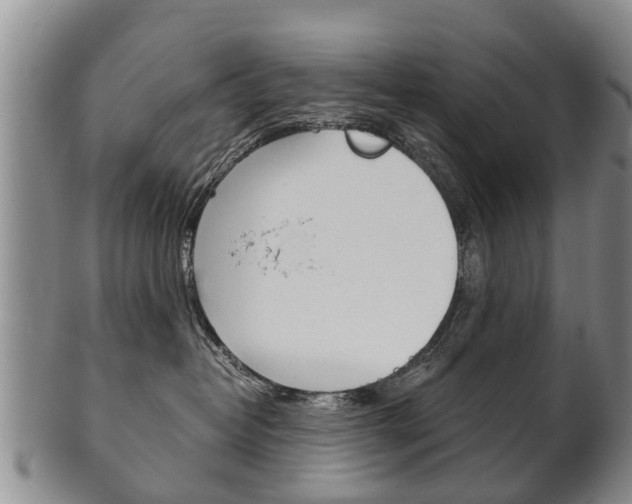 X0000102510382200808081012