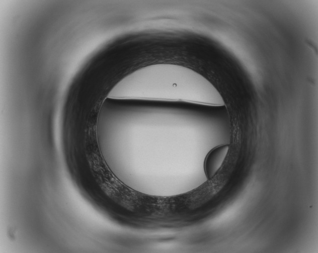X0000102510383200808081012