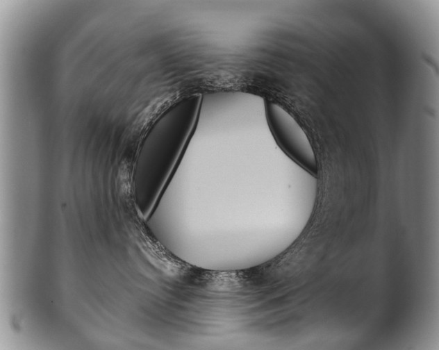 X0000102510384200808081012
