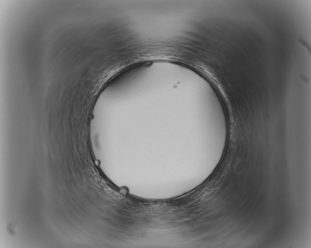 X0000102510385200808081012