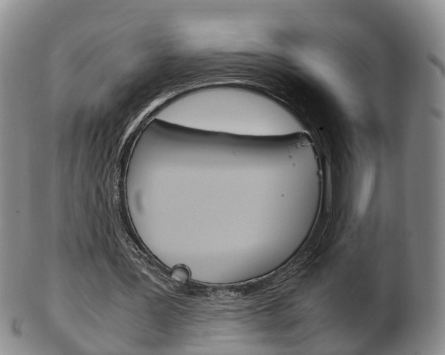 X0000102510387200808081012