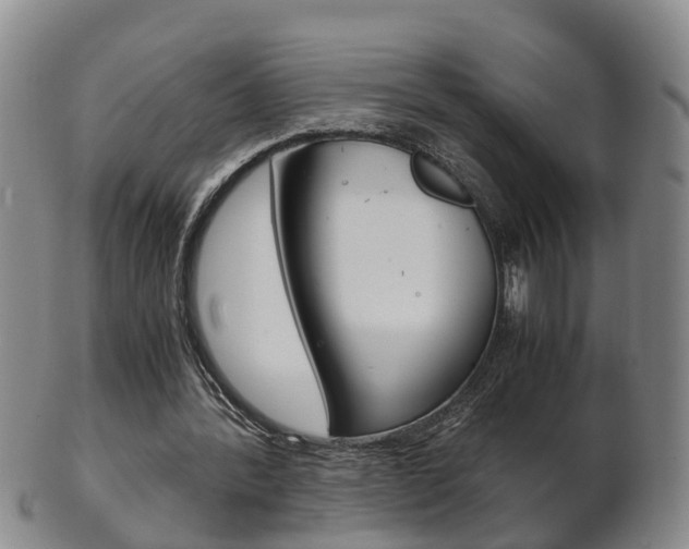 X0000102510388200808081012