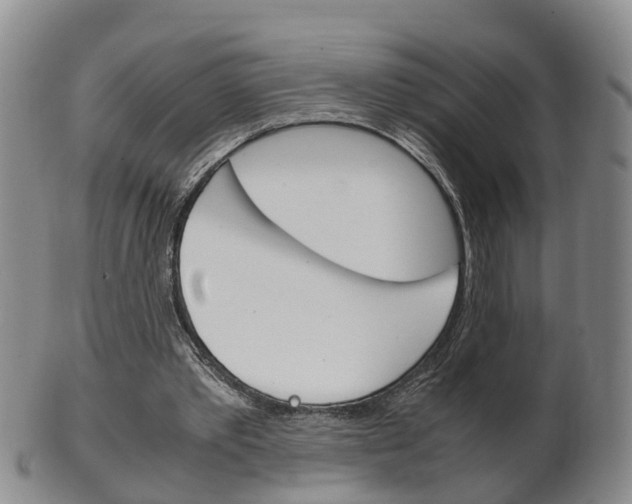 X0000102510389200808081012