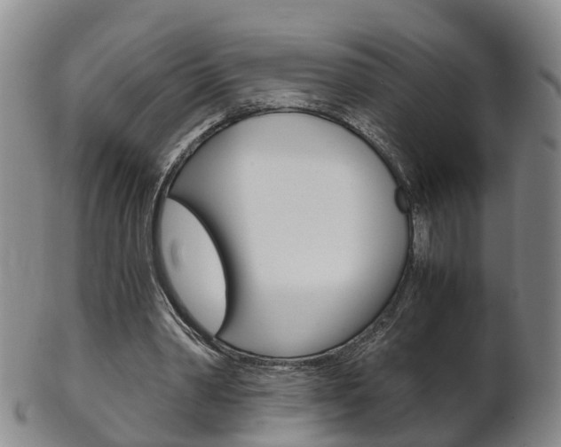 X0000102510390200808081012