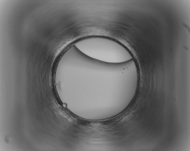 X0000102510391200808081012