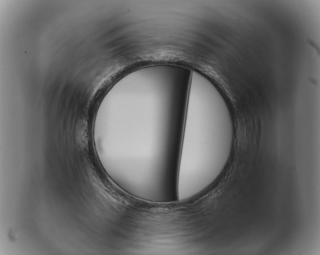 X0000102510392200808081011
