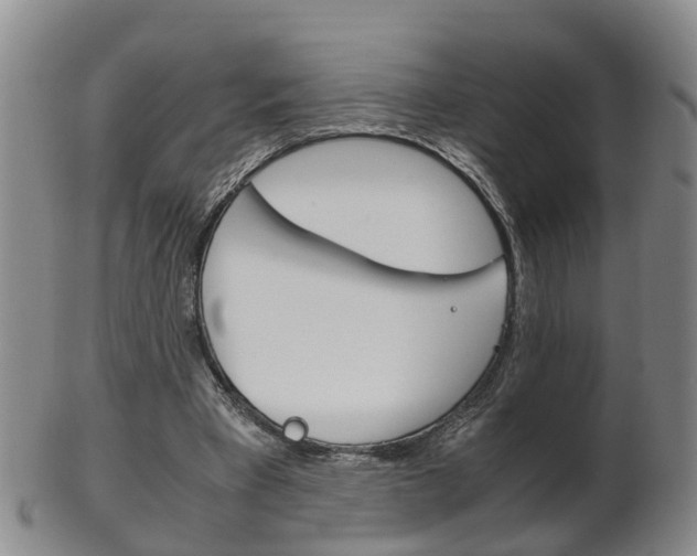 X0000102510393200808081011